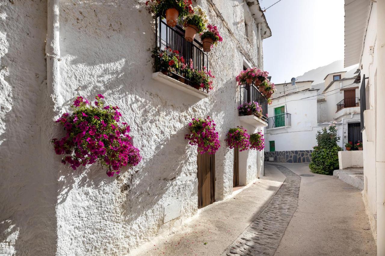 Casa Rural El Fuerte De Atabuey Trevélez Εξωτερικό φωτογραφία